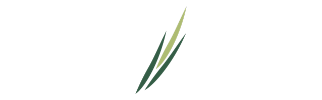 Meristem Wealth Management Limited
